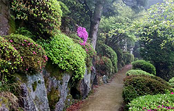 百年杉庭園イメージ