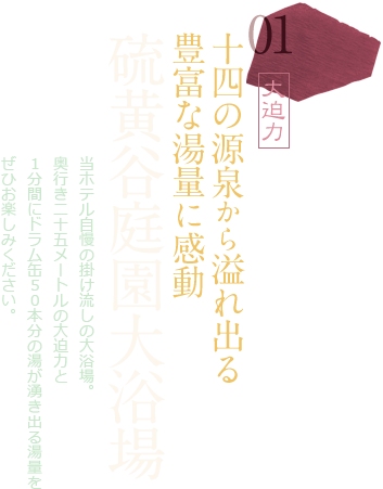 十四の湯めぐり、豊富な湯量に感動 硫黄谷庭園大浴場