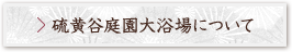 硫黄谷庭園大浴場について