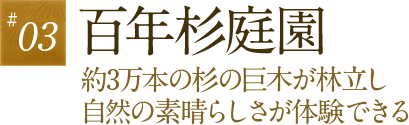 03.百年杉庭園　約3万本の杉の巨木が林立し自然の素晴らしさが体験できる