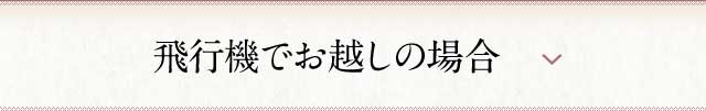 飛行機でお越しの場合