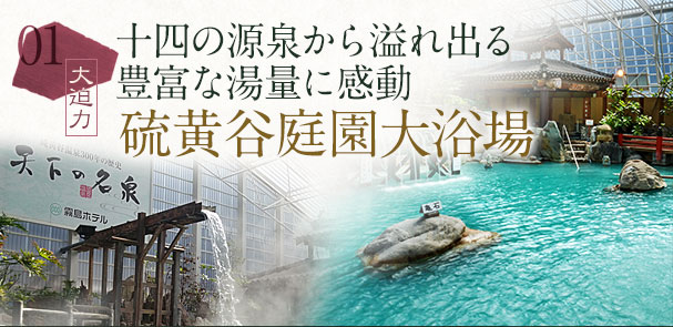 十四の源泉から溢れ出る豊富な湯量に感動 硫黄谷庭園大浴場