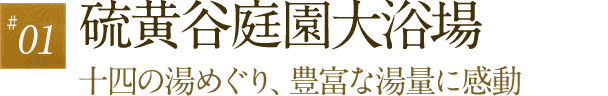 01 硫黄谷庭園大浴場　十四の湯めぐり、豊富な湯量に感動