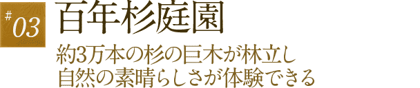 03 百年杉庭園　約3万本の杉の巨木が林立し自然の素晴らしさが体験できる