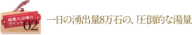 庭園大浴場のポイント02 一日の湧出量8万石の、圧倒的な湯量