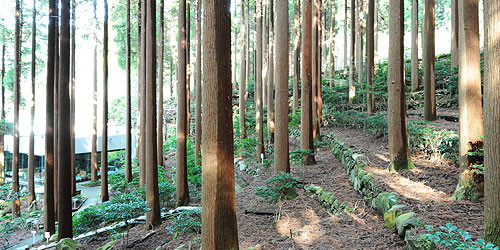 百年杉庭園イメージ