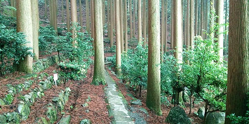 百年杉庭園イメージ